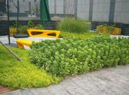 屋顶绿化种植基质