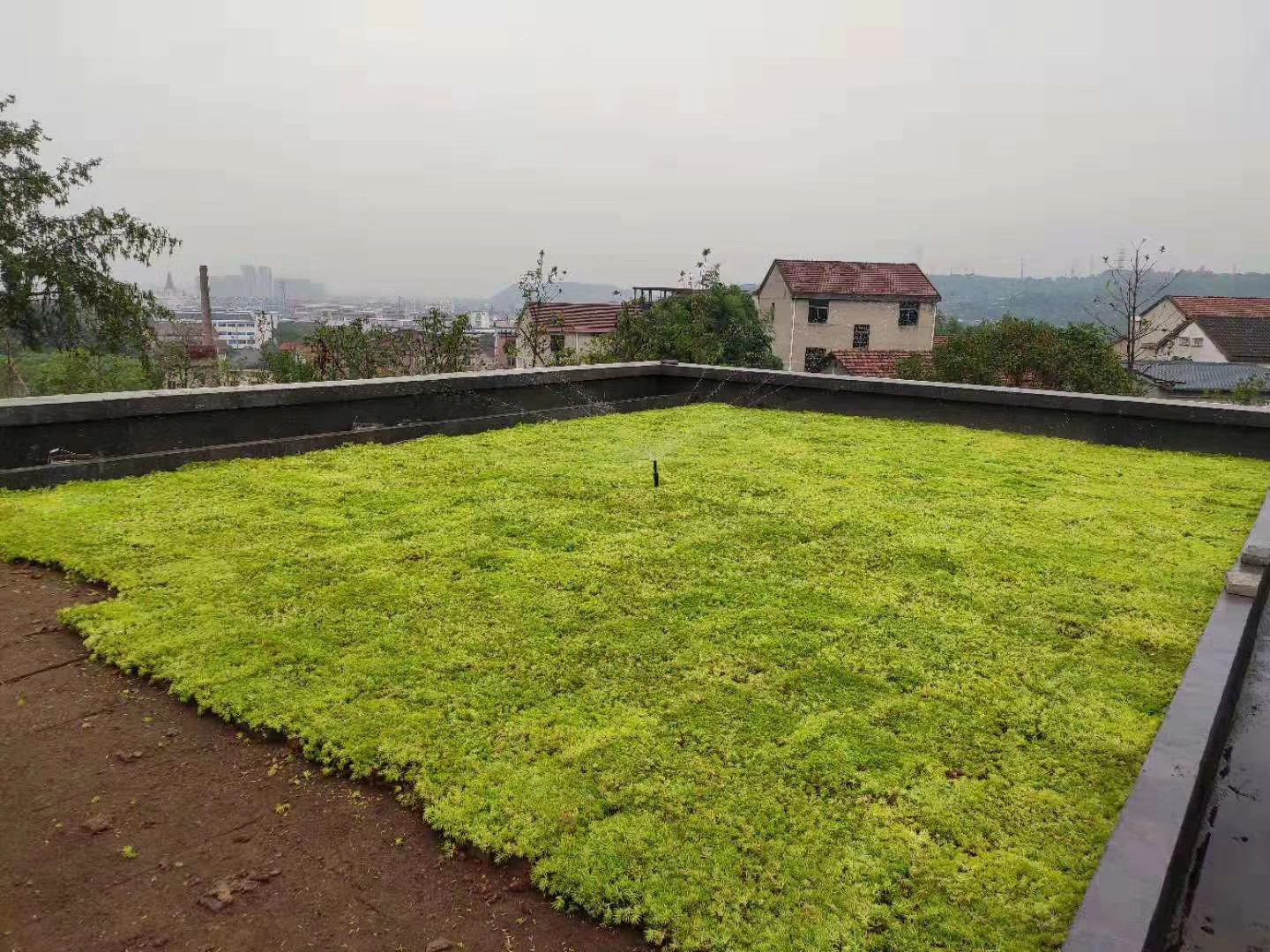 平面屋顶绿化 (2)