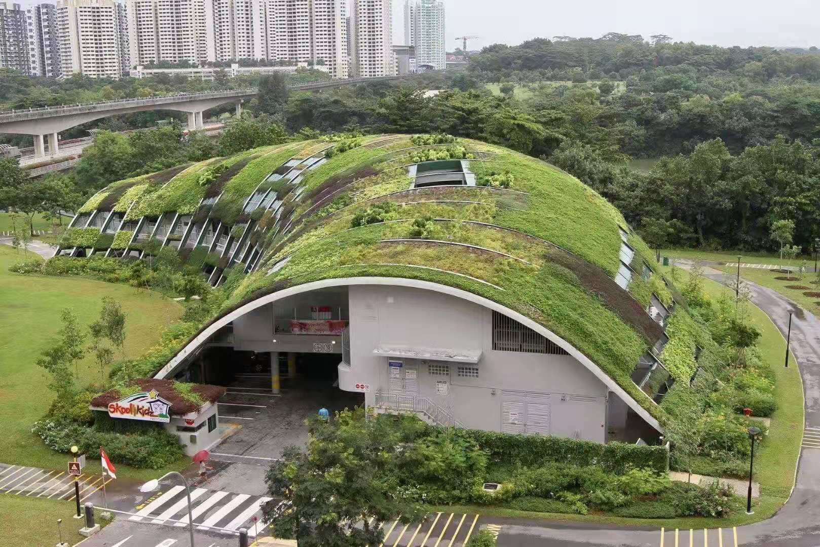 拱型屋顶绿化