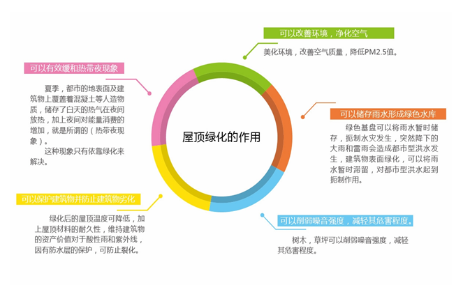 平面屋顶绿化(图1)